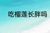 吃榴莲长胖吗 吃榴莲会不会长胖