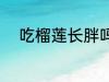 吃榴莲长胖吗 吃榴莲会不会长胖