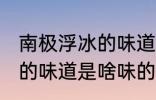 南极浮冰的味道是什么味的 南极浮冰的味道是啥味的