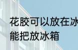 花胶可以放在冰箱冷藏室里吗 花胶不能把放冰箱