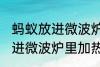 蚂蚁放进微波炉里加热会死吗 蚂蚁放进微波炉里加热会不会死