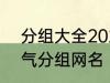 分组大全2022最新版的 高冷二字霸气分组网名