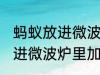 蚂蚁放进微波炉里加热会死吗 蚂蚁放进微波炉里加热会不会死