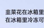 韭菜花在冰箱里冷冻能放多久 韭菜花在冰箱里冷冻可以放多长时间