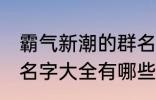 霸气新潮的群名字大全 霸气新潮的群名字大全有哪些