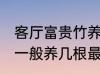 客厅富贵竹养几支最旺运 水养富贵竹一般养几根最旺财