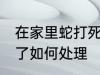 在家里蛇打死了怎么办 在家里蛇打死了如何处理