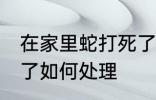 在家里蛇打死了怎么办 在家里蛇打死了如何处理