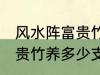 风水阵富贵竹养几支最旺运 风水阵富贵竹养多少支最旺运