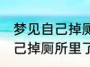 梦见自己掉厕所里了怎么回事 梦见自己掉厕所里了预兆什么