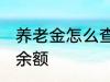 养老金怎么查询余额 养老金如何查询余额