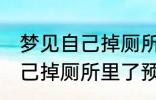 梦见自己掉厕所里了怎么回事 梦见自己掉厕所里了预兆什么