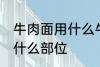 牛肉面用什么牛肉部位 牛肉面用牛肉什么部位