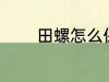 田螺怎么保存 如何存放田螺