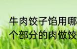 牛肉饺子馅用哪个部位的牛肉 牛的那个部分的肉做饺子馅比较好吃