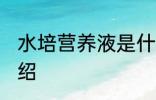 水培营养液是什么 水培营养液简单介绍