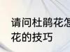 请问杜鹃花怎么养不爱死啊 养殖杜鹃花的技巧