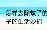 怎样去除蚊子的生活妙招 如何去除蚊子的生活妙招