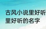 古风小说里好听的名字 优雅好听小说里好听的名字