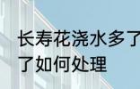 长寿花浇水多了怎么办 长寿花浇水多了如何处理