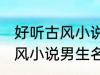 好听古风小说男生名字 韵味十足的古风小说男生名字