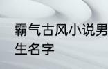 霸气古风小说男主名字 古风儒雅的男生名字