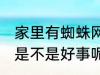 家里有蜘蛛网好事坏事 家里有蜘蛛网是不是好事呢