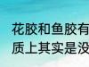 花胶和鱼胶有什么区别 鱼胶和花胶本质上其实是没有区别的对吗