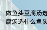 做鱼头豆腐汤选哪种鱼头好 做鱼头豆腐汤选什么鱼头好