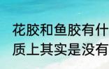 花胶和鱼胶有什么区别 鱼胶和花胶本质上其实是没有区别的对吗