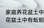 家庭养花盆土中有蚯蚓怎么办 家庭养花盆土中有蚯蚓的解决方法